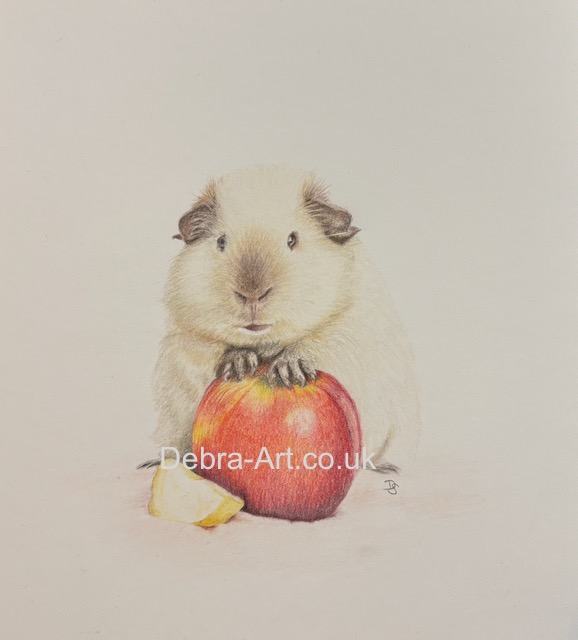 Guinea Pig with Apple