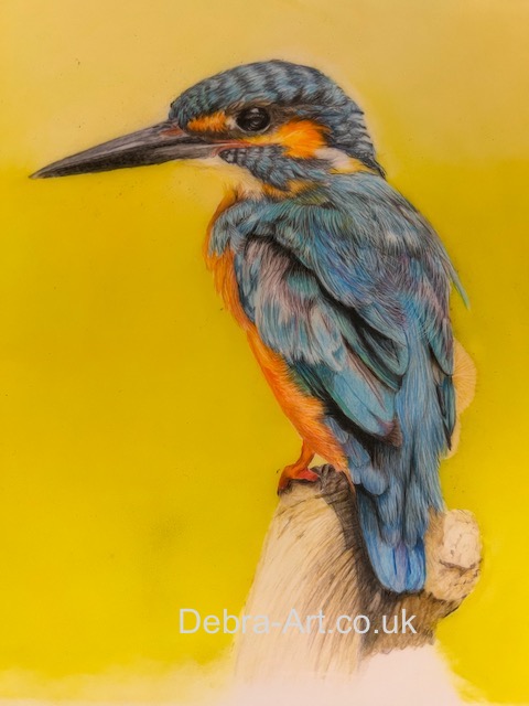 Kingfisher