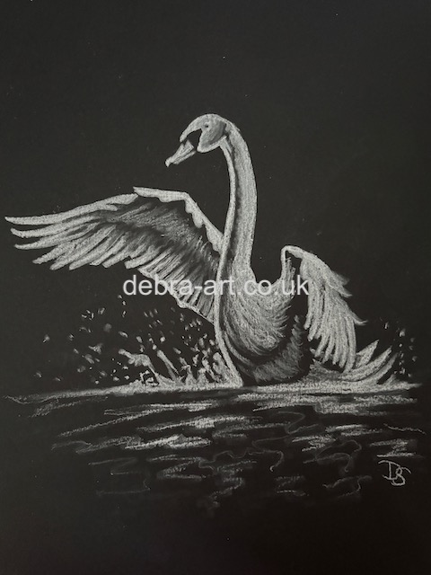 Swan